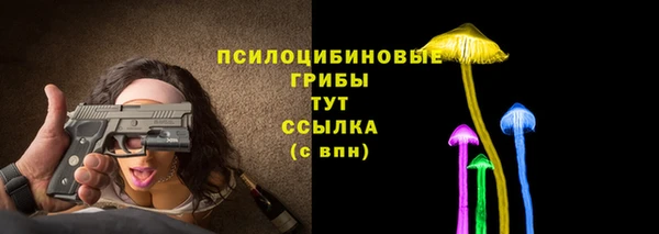 амф Алексин