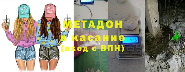 индика Аркадак