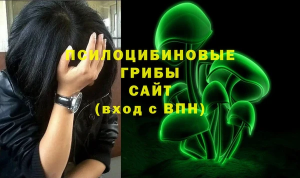 амф Алексин